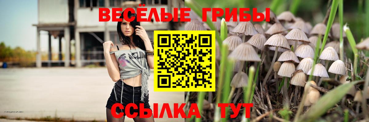 Псилоцибиновые грибы GOLDEN TEACHER  Вход с VPN  Надым 
